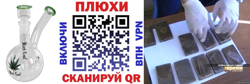 где найти Кологрив ГАШИШ гашик