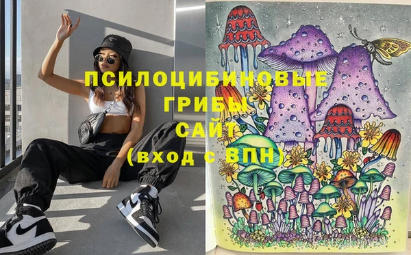 дмт Баксан