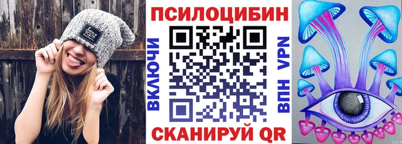 Галлюциногенные грибы Psilocybe  кракен сайт  Кологрив  даркнет сайт 
